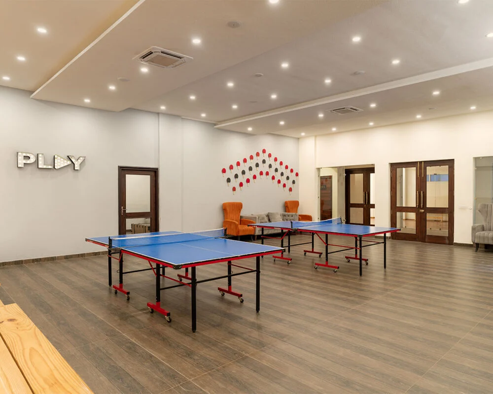 Gallery 5